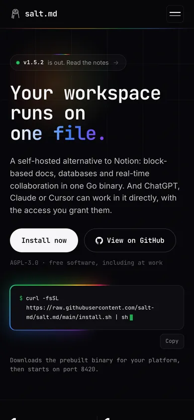 Startseite von salt.md auf dem Smartphone